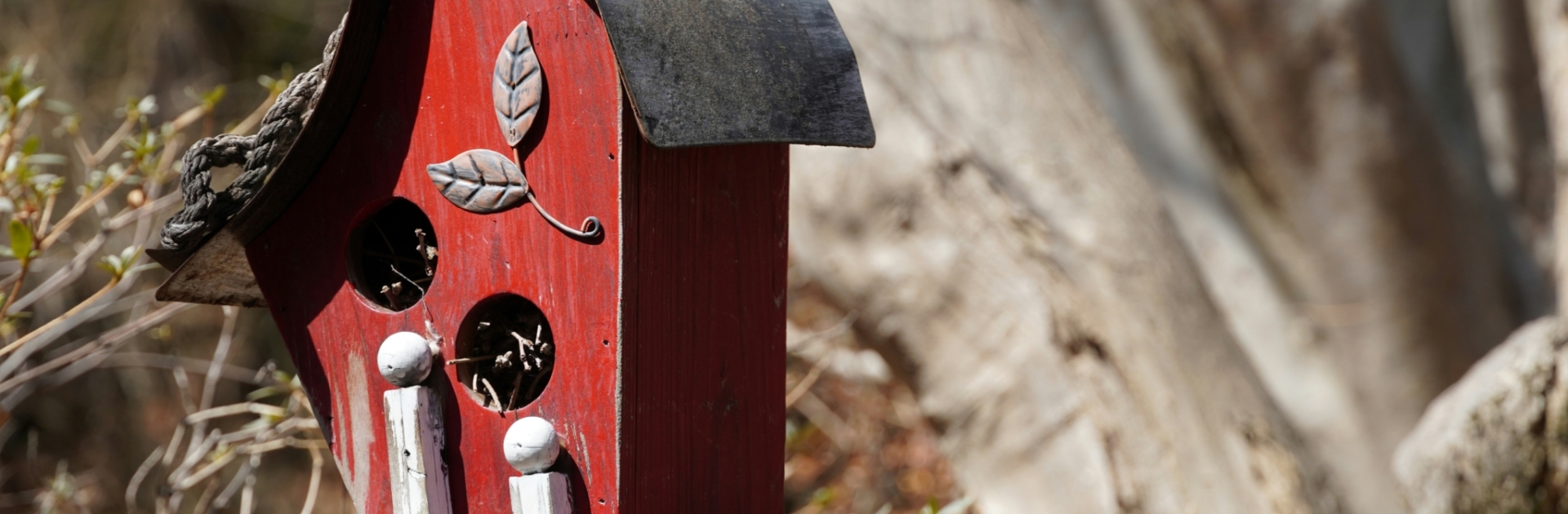 colin redwood kXCLBaj4kf4 unsplash new