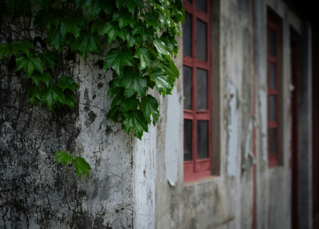 declan sun S BuEkpRZQU unsplash new