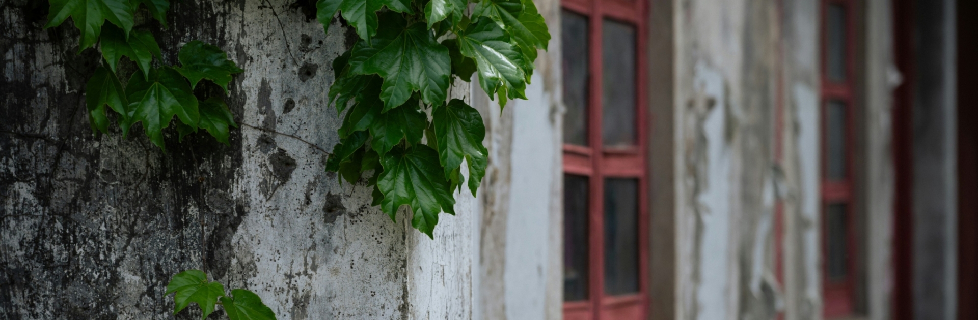 declan sun S BuEkpRZQU unsplash new