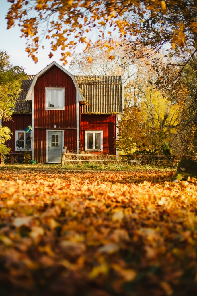 lena polishko a6M9cM3jXhY unsplash