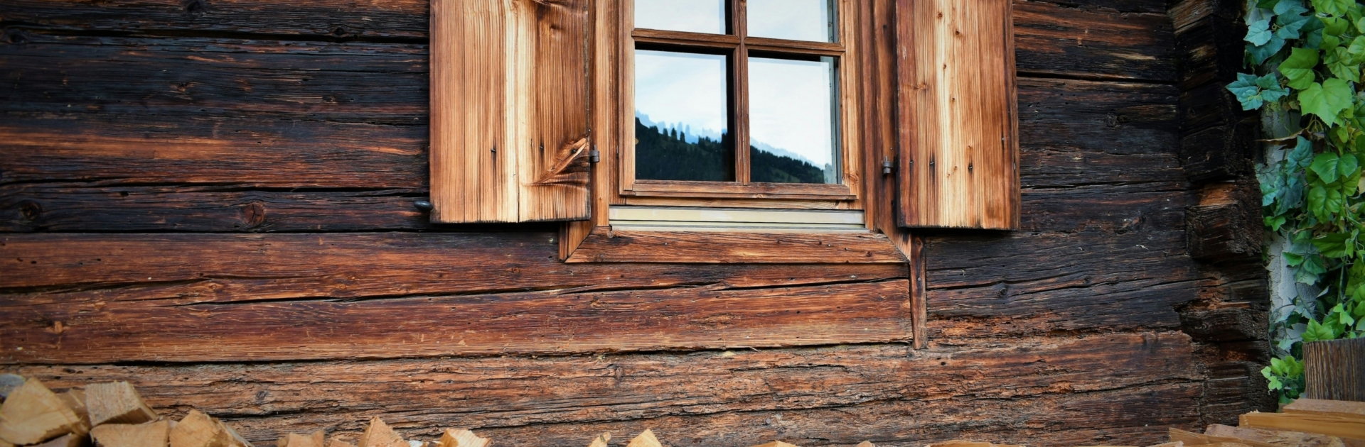 waldemar brandt 734Ie1BsViU unsplash scaled new